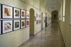 Poetics-XPressives_Antonia-Zimmermann_Burkhard-Zimmermann_Elisabethinen-Linz_web-10