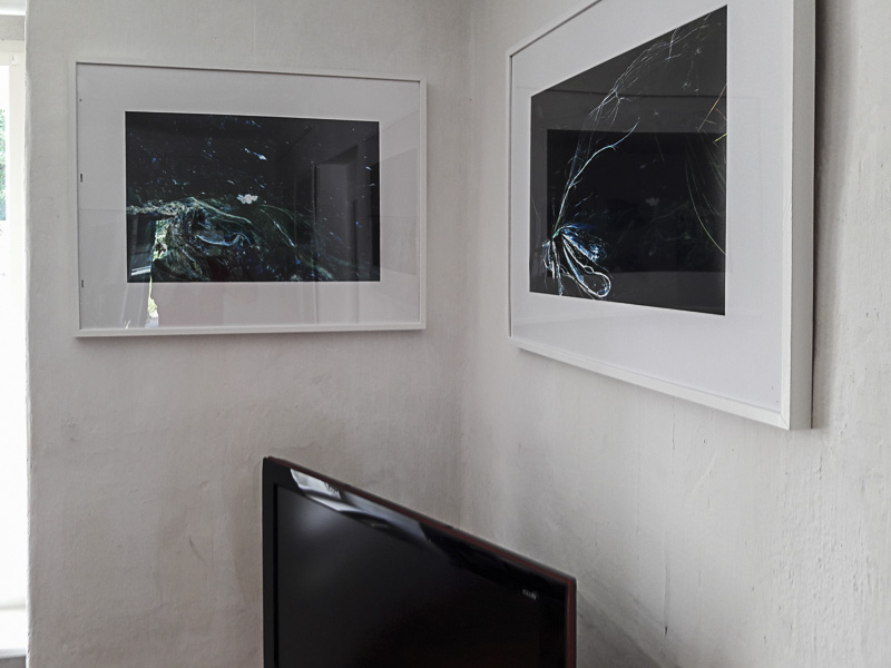 Faszination-LINIEN_Antonia-Zimmermann_diART-GALERIE-Freistadt201708-5