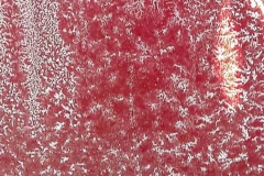 Zimmermann-Antonia-20180302-131657