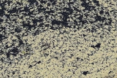 Zimmermann-Antonia-20180426-142019