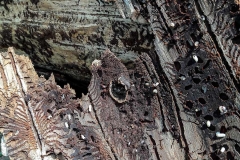 Zimmermann-Antonia-20180519-093504_web