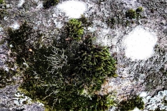 Zimmermann-Antonia-20180530-090128_web
