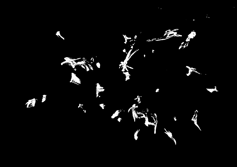 ATIVIVE diving in the dark