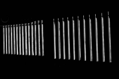 lightline #42 / Antonia Zimmermann / Fotografie