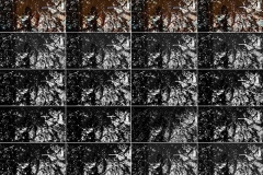 Antonia Zimmermann / movielines Im-Orbit / Collage