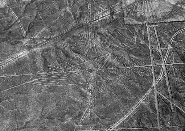 Antonia Zimmermann Nascaebene Ica Peru Nascalines eagle