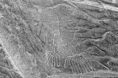 Antonia Zimmermann Nascaebene Ica Peru Nascalines Hands
