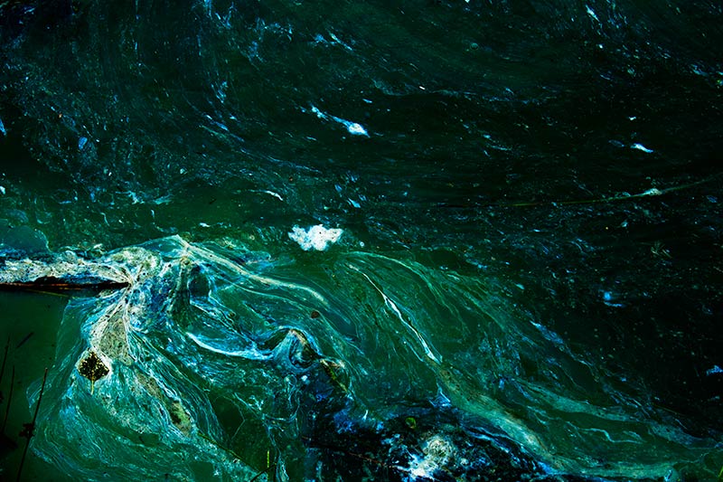 Antonia Zimmermann Naturelines