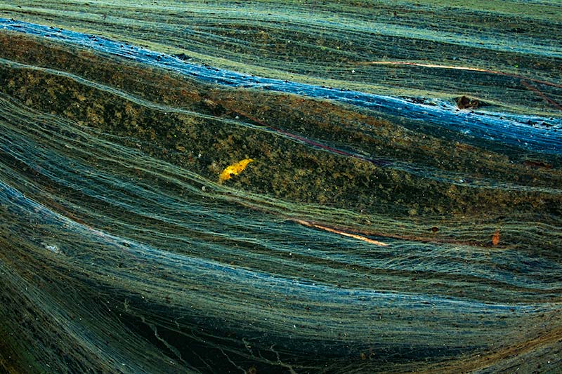 Antonia Zimmermann Naturelines