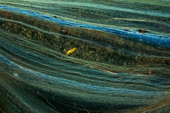 Antonia Zimmermann Naturelines