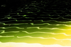 Antonia Zimmermann Naturelines