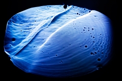 AntoniaZimmermann_Nur-1-Tropfen-09-20120427-004815_web