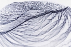 Objectline-OL9 / Antonia Zimmermann / Fotografie