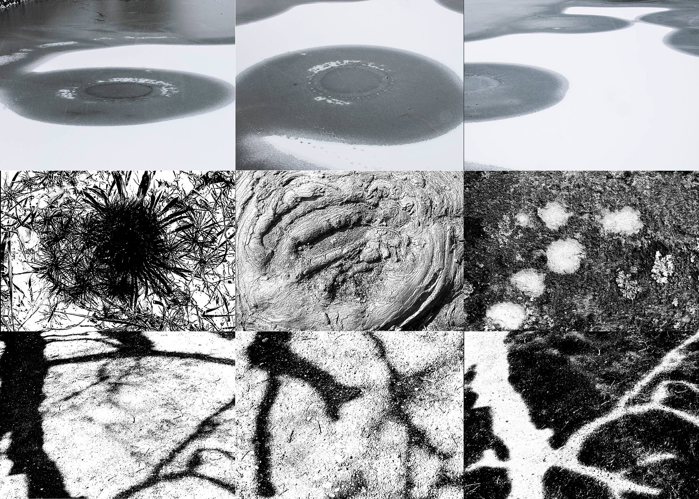 CollageGrafikder-Natur_web