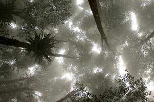 moving landscapes Florian Konflozius Holter