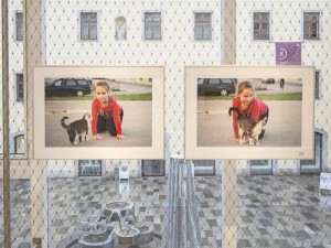 OÖ Fotogalerie Linz