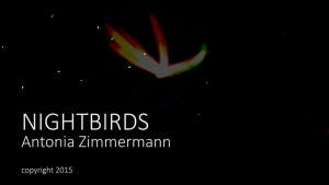 Nightbirds_co.Standbild001web