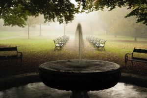 Sepp Puchner Schlosspark Weinberg Fotografie