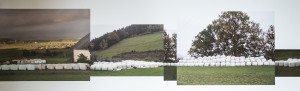 Andrea Fröhlich Siloballen Fotocollage